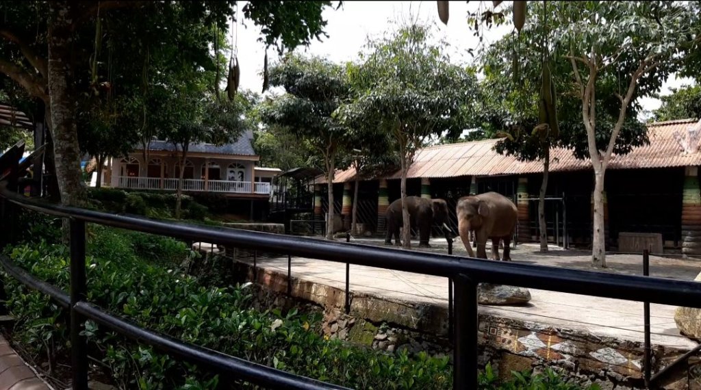 Batu Secret Zoo - Kandang Gajah